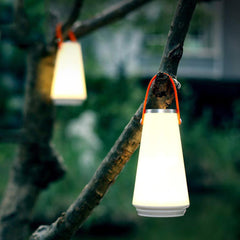 Portable Wireless LED Light