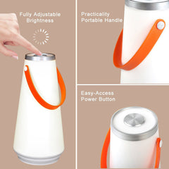 Portable Wireless LED Light